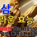 모든홍삼