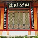 대효