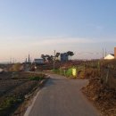 위례성로 이미지