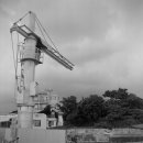 법환동-14 이미지