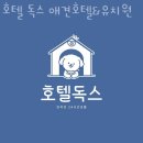 서울 용산구 애견호텔 호텔 독스 애견호텔&amp;유치원 할인 영업시간 가는길