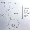 추내과의원 | 2025년 가르시니아 복용 시 필수 참고 사항 필독!!!