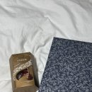 (주)바이탈마인드 | 메리 크리스마스! 정신병동 간호사가 되었습니다