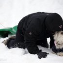 계방산 오토캠핑장 이미지