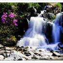 구천동주유소 이미지