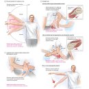 성진한의원 이미지