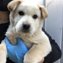 비산119안전센터 이미지