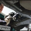 하이카동백점 이미지