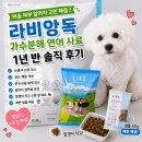오늘;피부어때 | 비숑이 1살 되자 갑자기 긁기 시작했어요｜라비앙독 가수분해 연어사료 1년 반 후기