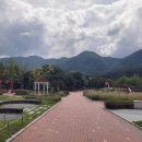 낙동생오리 이미지