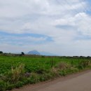 상모리-12 이미지