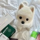 두카메디컬센터 이미지