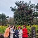 우정광고 - 남양주시 다산중앙로19번길 25-23 | 제주도택시대절 비용 가볍게 떠난 우정 여행 후기