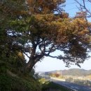 이기원 정려 이미지