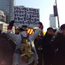 미도리카레 이미지
