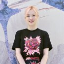 화사하개 이미지