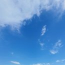 금포펜션 | 남해여행 맛집 박서방식당 다랑이논 금포마을 펜션