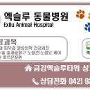 엑슬루 동물병원 이미지