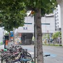 지에스25의정한도빌 | 251026 (일) 2025 김천김밥축제 이틀차 방문, 고즈넉한 직지사