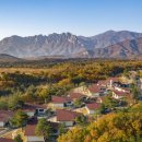 산 카카오 검색결과