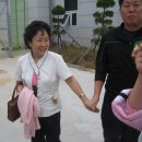 보령엘피스병원 이미지