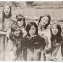 롤리폴리 이미지