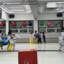 용인대 석사 타이거즈 태권도장 이미지