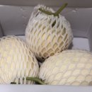 준희네농장 이미지