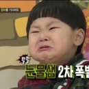 애니멀즈 이미지