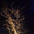 고금면사무소 이미지