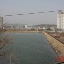 맥과이어스센터 이미지