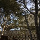 (주)다람지 | 순간이 전부인 것 같다