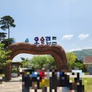 심청길 비밀레시피 | [전남 곡성] 곡성 섬진강 기차마을 후기 + 세계장미축제 정보 (5월 대표 전남 축제)