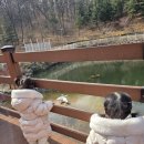 아롱이다롱이 | 용인 자작나무숲 베이커리 카페 베툴라 아이와 부대시설 즐기기