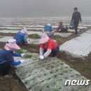 순·남