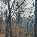 자미원역 이미지