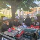 소일초등학교 이미지