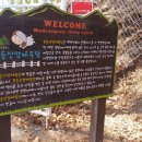 무등목장 네이버블로그