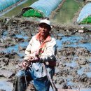 당리 할아버지 이미지