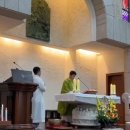 Veni Jesu amor mi - 2026.10.04 이미지