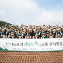 제주명과