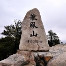 용봉초교 이미지
