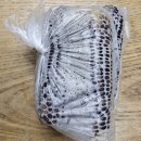 경희홀케어한의원 이미지