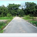 속리산둘레길 보은길4 이미지