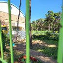 조산초 적은분교장 이미지