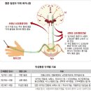 계해정한의원 이미지