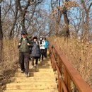 우면생태놀이터 이미지