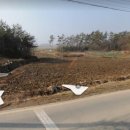 진흥114공인중개사사무소 네이버블로그