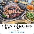 (주)시골한우시골돼지 | 운서역 삼겹살 맛집, 칼집 고기 제대로 즐긴 시골한우시골돼지제주 영종도 고기집 후기