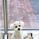 오늘도 너에개 이미지